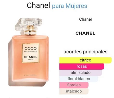 notas olfativas coco chanel|coco chanel for women.